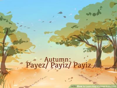 zonema payiz